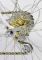 Campagnolo C Record gold hub