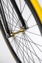 Colnago C35 Front hub gold plated campagnolo C Record