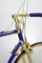 Front bike golden details