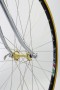 Campagnolo 50th anniversary wheelstickers + gold plated hub