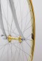Rim gold plated custom colnago decal